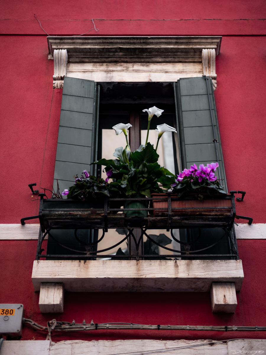 Photos from Rome, Venice, Florence, Tuscany, Manarola, Vernazza, Riomaggiore, Verona, Trento, and the Italian Alps in Spring of 2022.